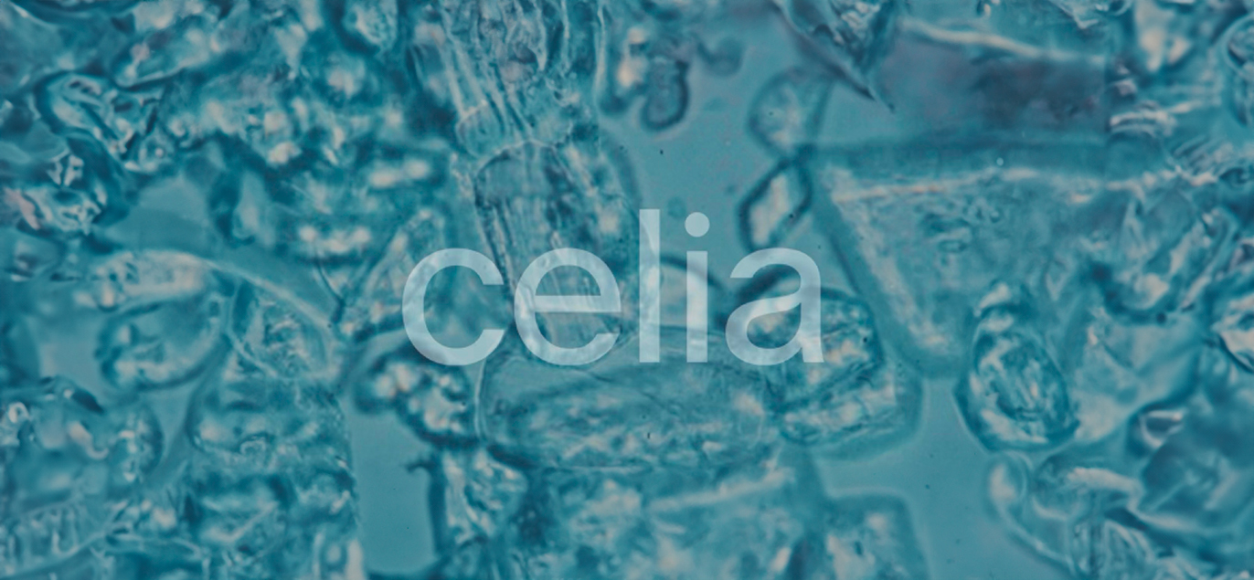 Building Blocks for a Great Life: Why Choose C.Bio?